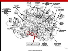 The 3 red circles are capped holes in engine below exhaust manifold. The circle with the red arrow is 
where the coolant leaked from.