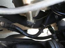Check Valve Trans Line