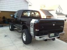 tinted tails