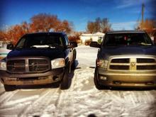 My Babies