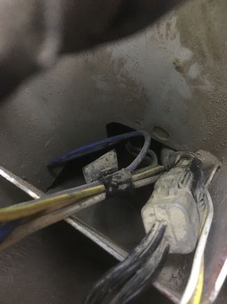 one of the two wiring harnesses tucked in behind the tail light 