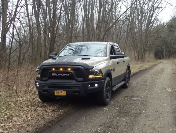 Out for a nice ride in the woods!