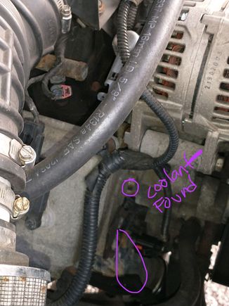 Also found coolant in areas circled in purple. Coolant smell inside cab. 