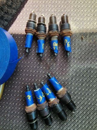 Plugs pulled for inspection and so we can fog the cylinders before test fire