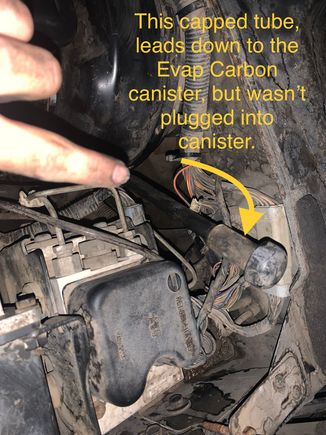This tube has been capped off since I bought the truck, followed it down to the charcoal can. This is the hook tube shown in the second picture that was tucked behind Carbon tank. 
