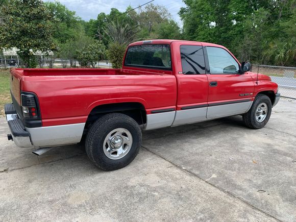 The daily 