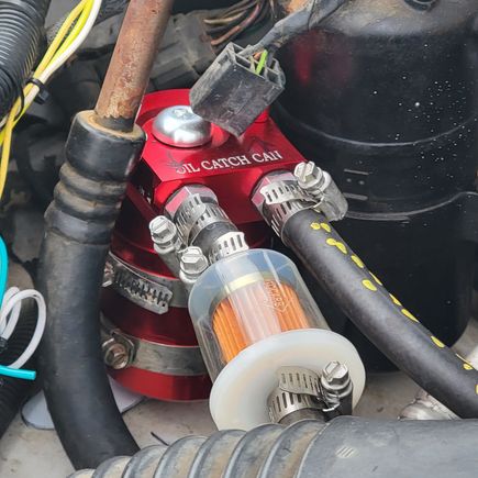 Fuel filter is to find out if the can is separating the oil out. Probably didn't need the hose clamps, the barbs are really tite