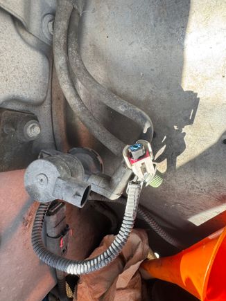 Purge valve in engine bay? Leads to canister but cannot find where the plug is 