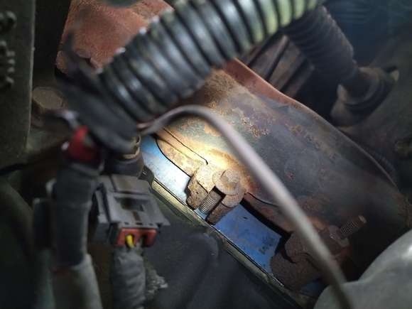 Middle of the driver side exhaust manifold, hard to get an angle but I can see pretty far into it.