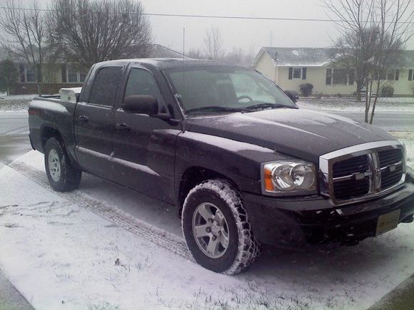 Looks good in the snow
