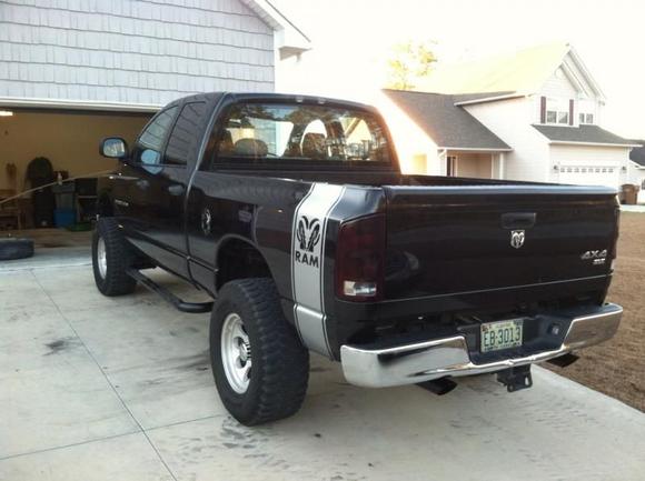 tinted tails
