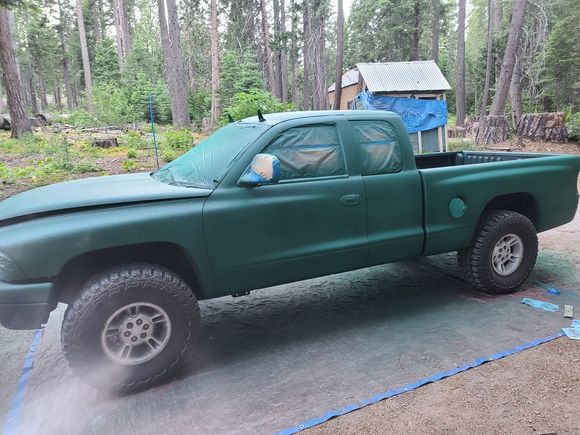 I had wanted to do a Raptor Liner truck for ages. I decided that I had seen enough OD colors so I went with a forest green.