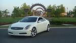 Bone Stock G35