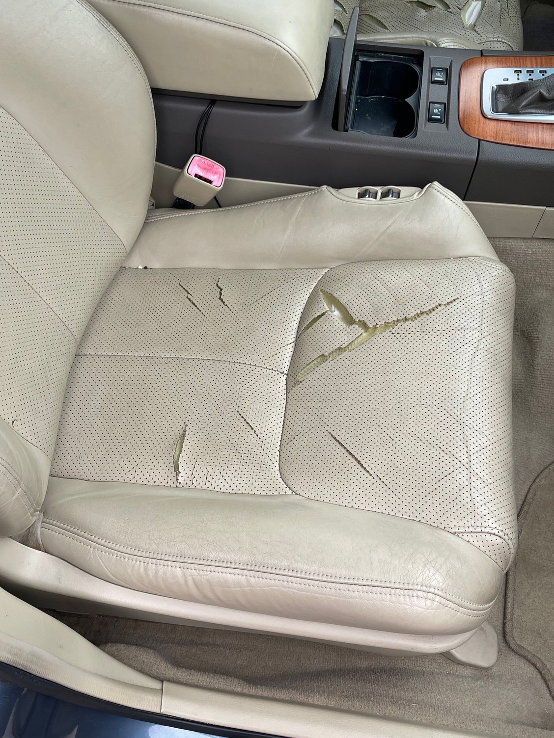 Original Passenger seat bottom 