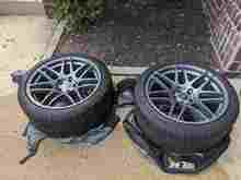 Rears