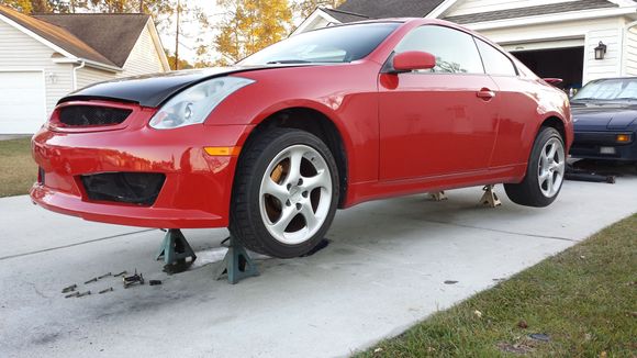 And that is how she has sat for about 3 weeks.