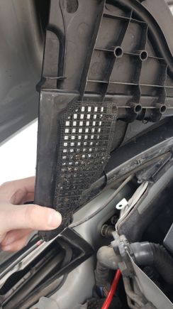 Cowl drain was extra clean