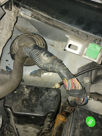 Here is the gromet installed into the firewall for reference. 