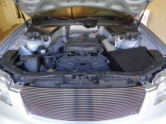 tucked bay & t-rex grill