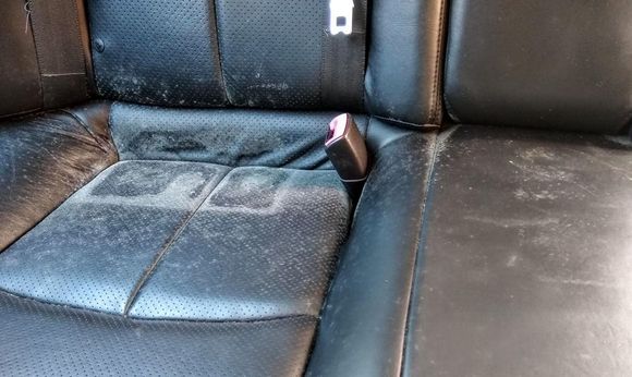 Mold...random pic. This was all over! How could it possibly be gone, even after cleaning? Esp since water still gets in car! 