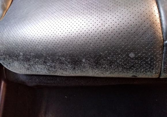 Mold