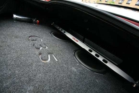 trunk shot