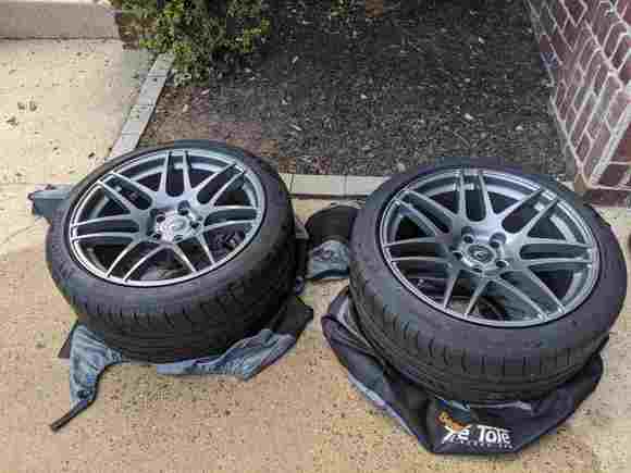 Rears