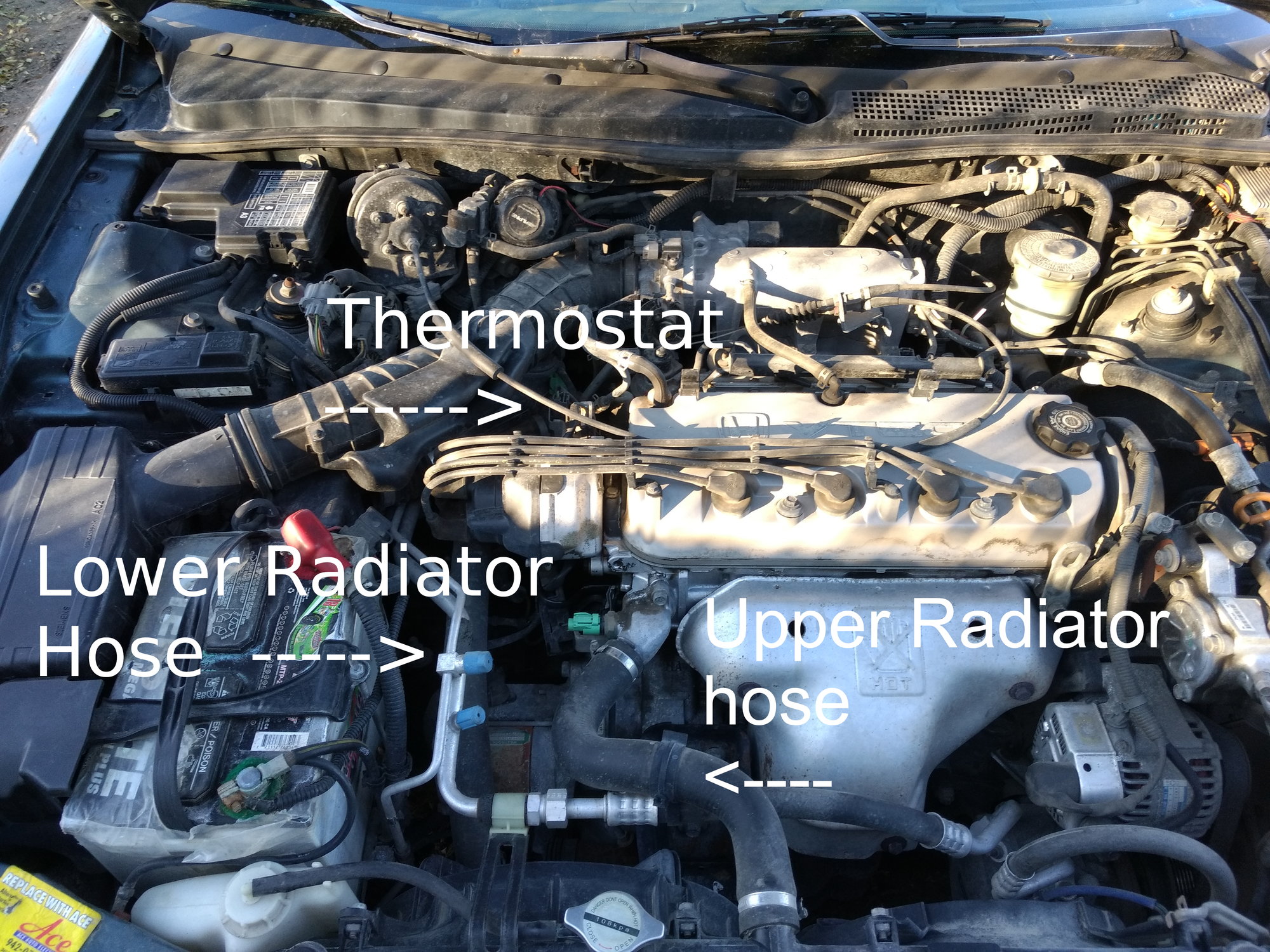 Coolant flow direction, 1996 Honda Accord? - Honda-Tech - Honda 