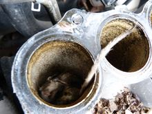 Alas, the mouse fell into the manifold. Freezing temperatures made it easy to remove.