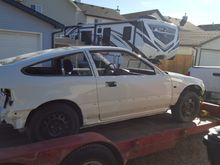 Honda championship white
