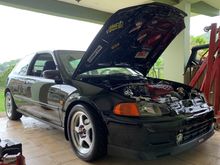 D16 Turbo 361WHP