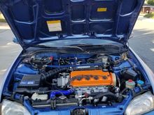 Engine bay with fresh rebuilt D16