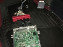 Heres a picture of my ecu hooked to jumper harness. Car cranks fine fuel pump wont prime still.