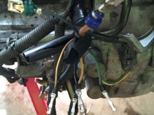 Wires from h22 harness