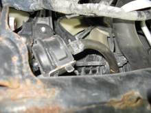 From underneath and towards front-tube on right goes to radiator/trans cooler, tube one left leads to  banjo plug on left (pass.) side transmission case.