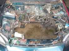 want to put b16a3 in here