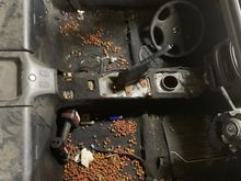 I seriously found dog food everywhere in this car. Engine bay. Trunk. Under the seats. Under the carpet...
