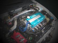vtec yo