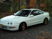 integra