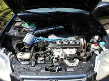 need to take an updated pic, the AEM dryflow intake I have is red/black and the tubing is longer bringing the filter down closer to the right corner of engine bay.