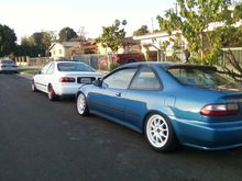 chilling with my neighbor