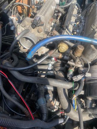 Where the red part of rag is