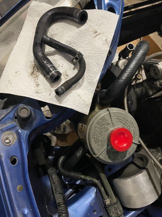 I need these 2 oem hoses 