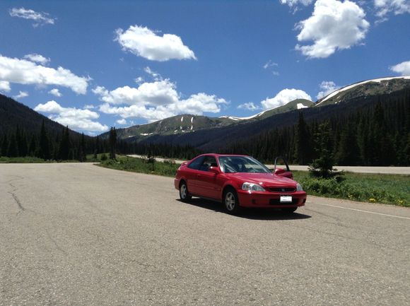 Last year (2014) near Cameron Pass.