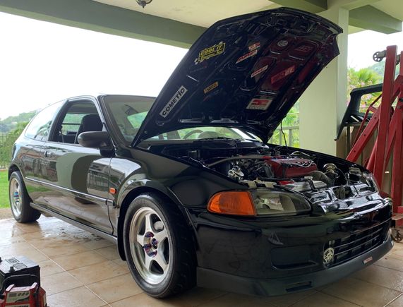D16 Turbo 361WHP