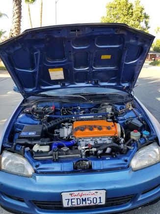 Engine bay with fresh rebuilt D16