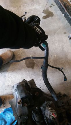 Original harness plug location.