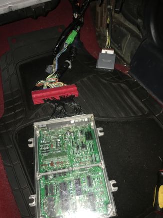 Heres a picture of my ecu hooked to jumper harness. Car cranks fine fuel pump wont prime still.