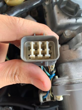 The 7 pins for the distributor not the wiring harness