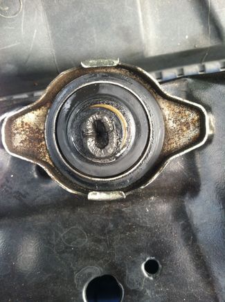 Saw my radiator cap so I got a new one and did a coolant flush